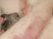 alexa__great pussy play in bathtub